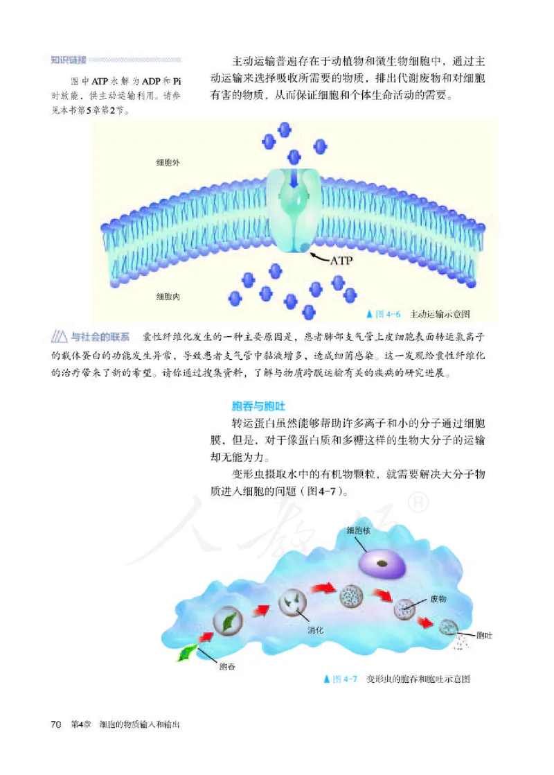 人教版生物必修1_电子课本_最新版高中全科高清电子课本_6高中生物课本_2019新人教版