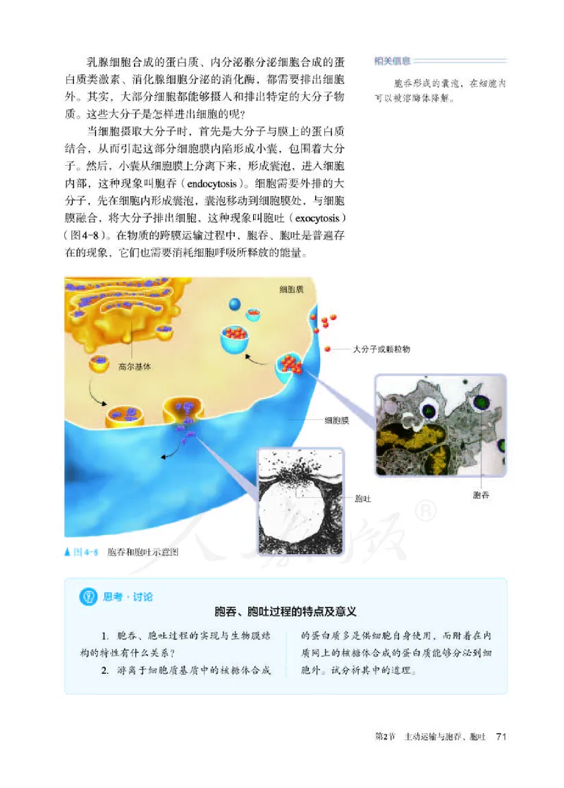 人教版生物必修1_电子课本_最新版高中全科高清电子课本_6高中生物课本_2019新人教版