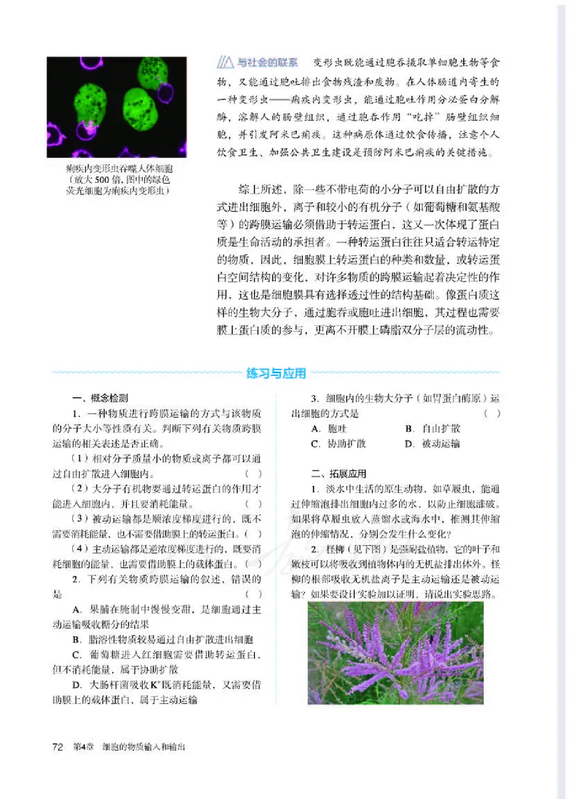 人教版生物必修1_电子课本_最新版高中全科高清电子课本_6高中生物课本_2019新人教版