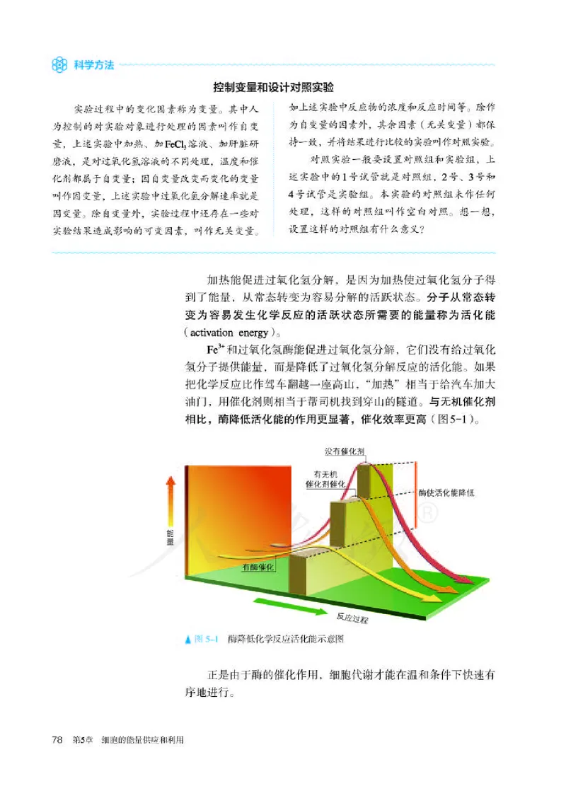 人教版生物必修1_电子课本_最新版高中全科高清电子课本_6高中生物课本_2019新人教版