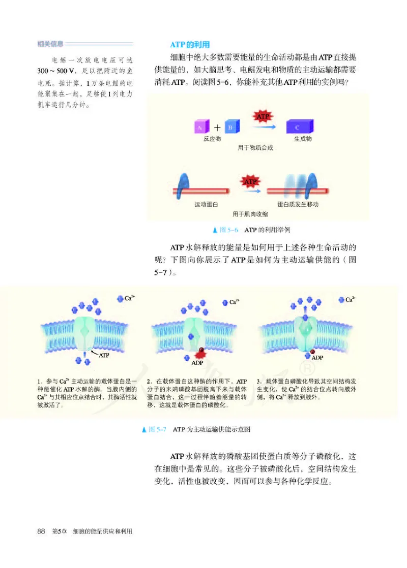 人教版生物必修1_电子课本_最新版高中全科高清电子课本_6高中生物课本_2019新人教版