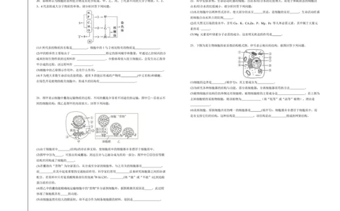 河北省六校联合体2025-2026学年高一上学期期中考试生物试题_2025年12月高一试卷_251207河北省六校联合体2025-2026学年高一上学期期中（全）