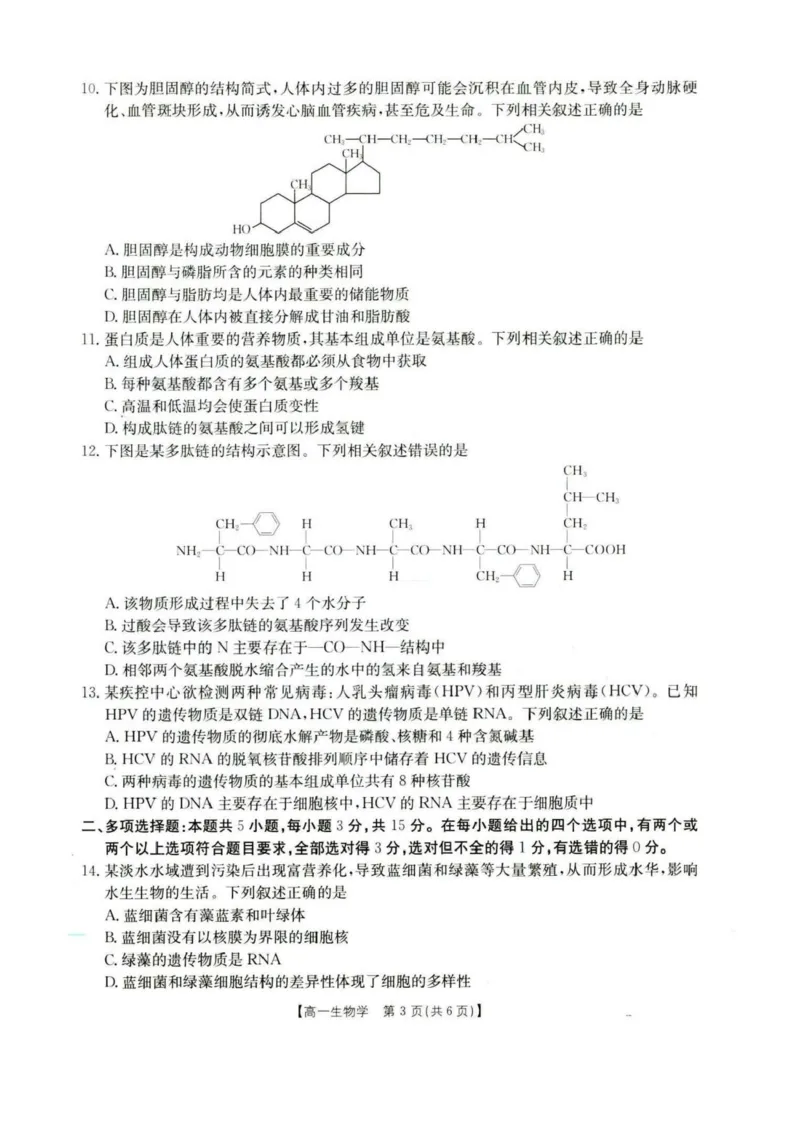 河北省保定市部分高中2025-2026学年高一上学期10月月考生物试卷含答案_2025年10月高一试卷_251019河北省保定市部分高中2025-2026学年高一上学期10月月考（全）