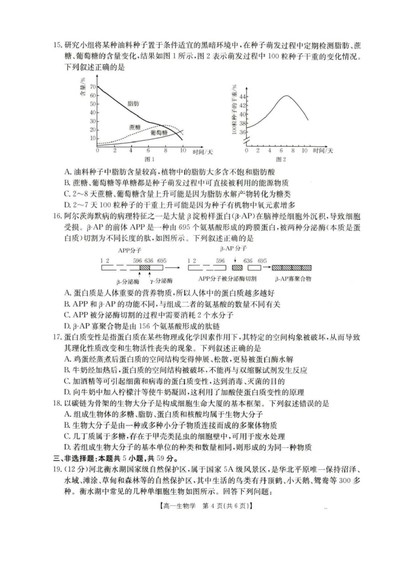 河北省保定市部分高中2025-2026学年高一上学期10月月考生物试卷含答案_2025年10月高一试卷_251019河北省保定市部分高中2025-2026学年高一上学期10月月考（全）