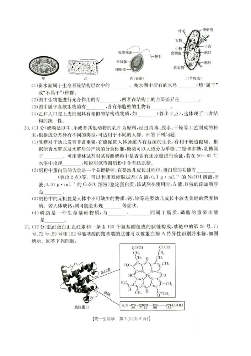 河北省保定市部分高中2025-2026学年高一上学期10月月考生物试卷含答案_2025年10月高一试卷_251019河北省保定市部分高中2025-2026学年高一上学期10月月考（全）