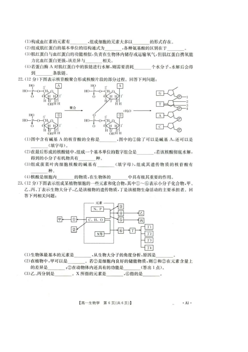 河北省保定市部分高中2025-2026学年高一上学期10月月考生物试卷含答案_2025年10月高一试卷_251019河北省保定市部分高中2025-2026学年高一上学期10月月考（全）