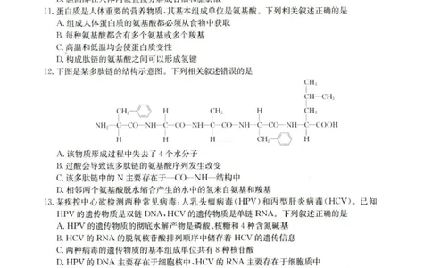 河北省保定市部分高中2025-2026学年高一上学期10月月考生物试卷含答案_2025年10月高一试卷_251019河北省保定市部分高中2025-2026学年高一上学期10月月考（全）