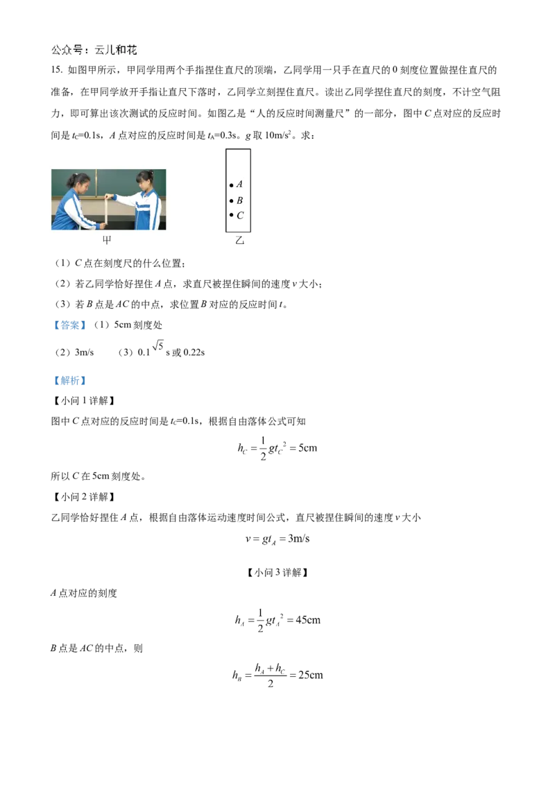 江苏省连云港市东海县2024-2025学年高一上学期期中考试物理试题Word版含解析_2024年12月试卷_1203江苏省连云港市东海县2024-2025学年高一上学期期中考试
