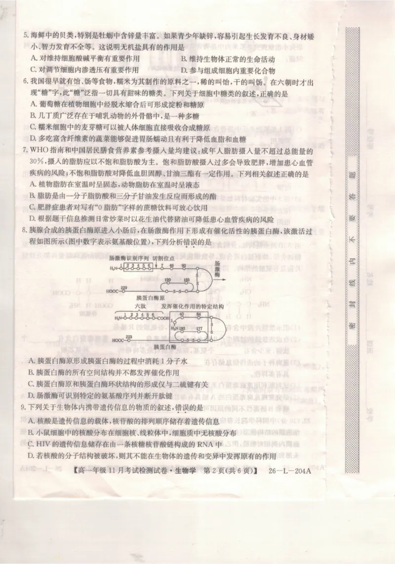 河北省保定市部分校2025-2026学年高一上学期11月考试生物试题_2025年11月高一试卷_251115河北省保定市部分校2025-2026学年高一上学期期中考试（全）