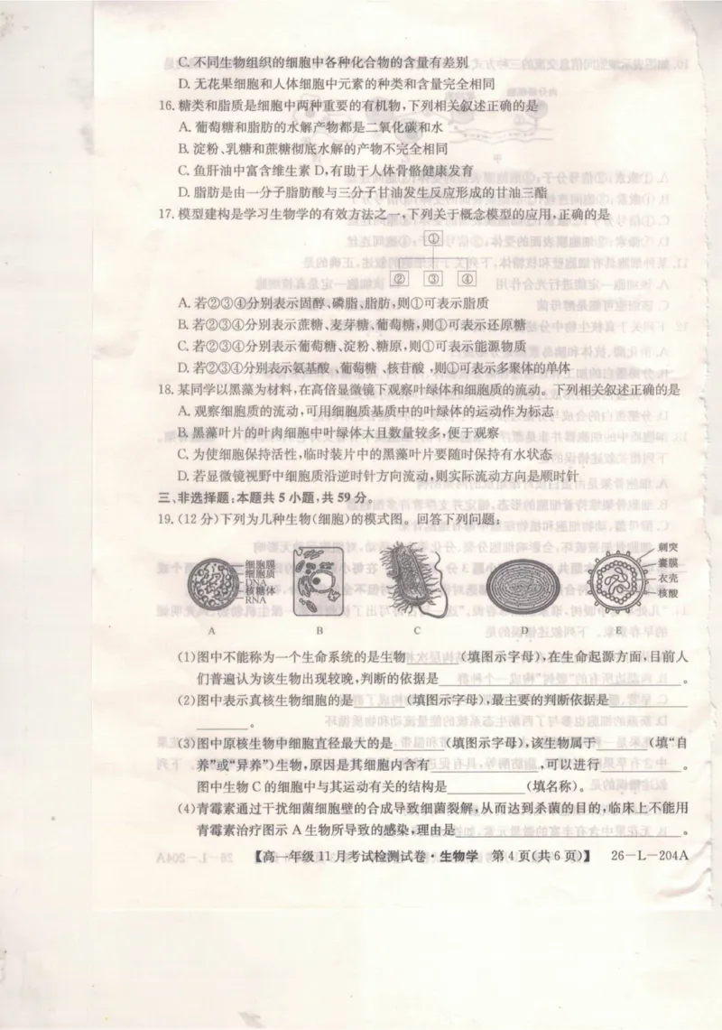 河北省保定市部分校2025-2026学年高一上学期11月考试生物试题_2025年11月高一试卷_251115河北省保定市部分校2025-2026学年高一上学期期中考试（全）