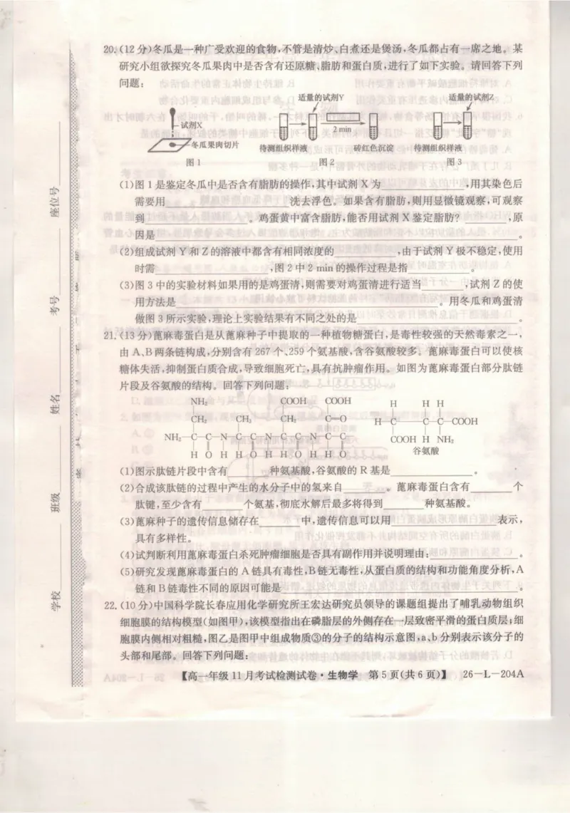 河北省保定市部分校2025-2026学年高一上学期11月考试生物试题_2025年11月高一试卷_251115河北省保定市部分校2025-2026学年高一上学期期中考试（全）