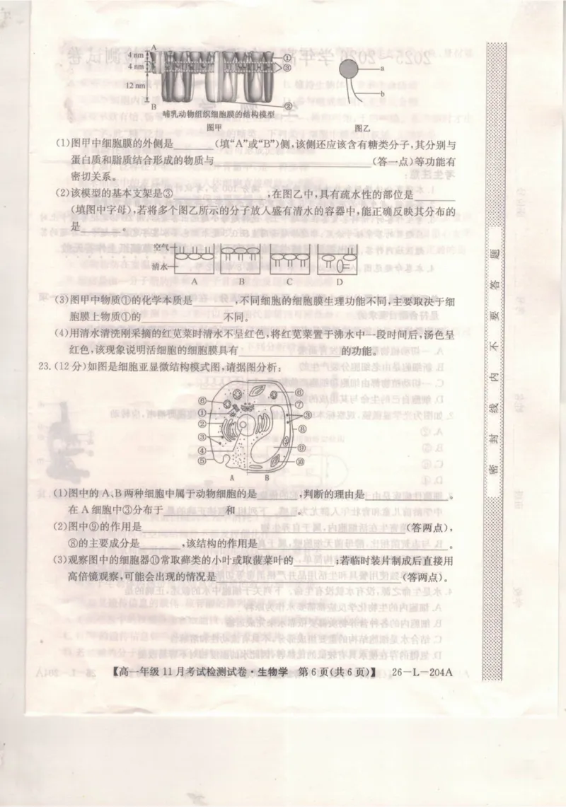 河北省保定市部分校2025-2026学年高一上学期11月考试生物试题_2025年11月高一试卷_251115河北省保定市部分校2025-2026学年高一上学期期中考试（全）