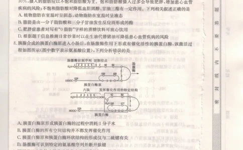 河北省保定市部分校2025-2026学年高一上学期11月考试生物试题_2025年11月高一试卷_251115河北省保定市部分校2025-2026学年高一上学期期中考试（全）