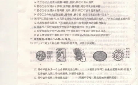 河北省保定市部分校2025-2026学年高一上学期11月考试生物试题_2025年11月高一试卷_251115河北省保定市部分校2025-2026学年高一上学期期中考试（全）