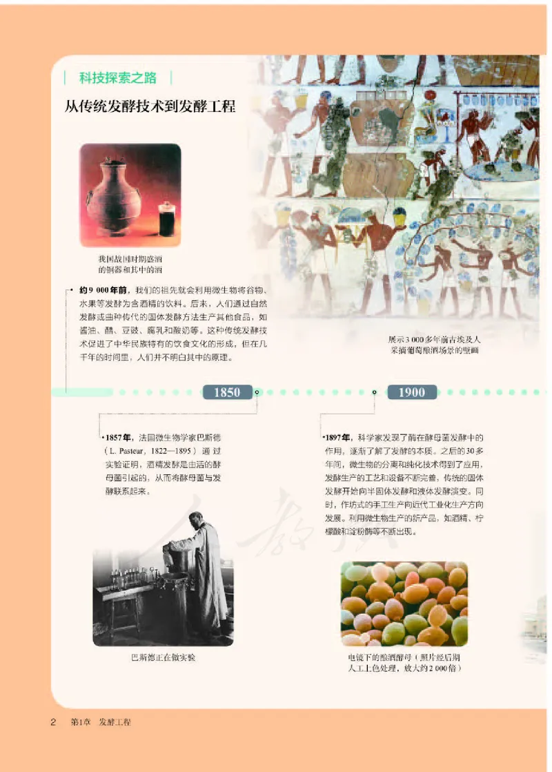 人教版生物选修3_电子课本_最新版高中全科高清电子课本_6高中生物课本_2019新人教版