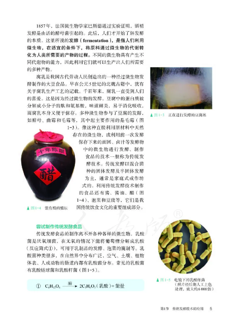 人教版生物选修3_电子课本_最新版高中全科高清电子课本_6高中生物课本_2019新人教版