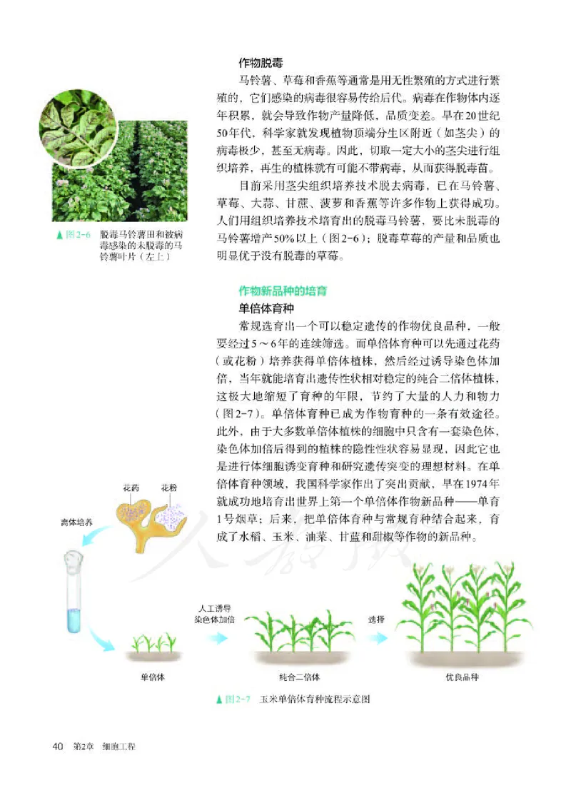 人教版生物选修3_电子课本_最新版高中全科高清电子课本_6高中生物课本_2019新人教版