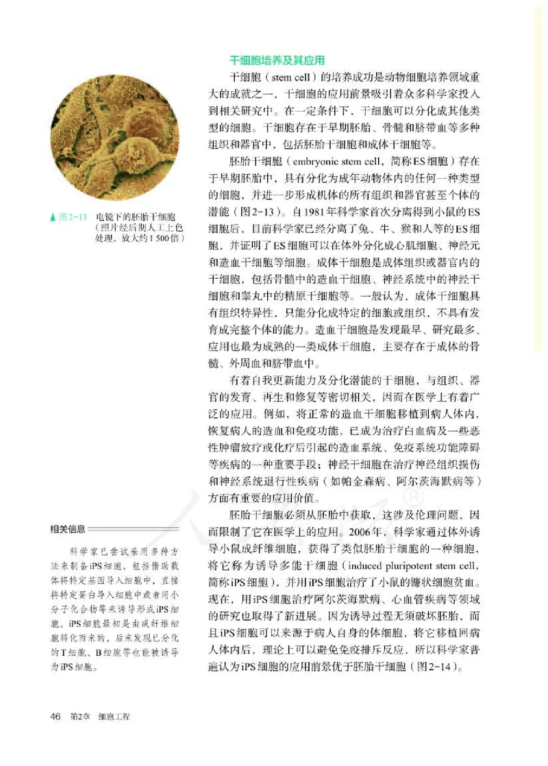 人教版生物选修3_电子课本_最新版高中全科高清电子课本_6高中生物课本_2019新人教版