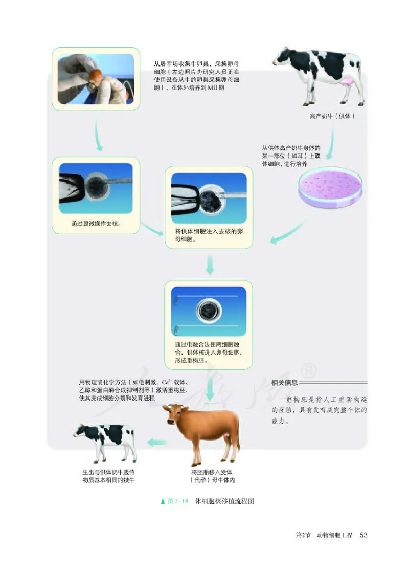 人教版生物选修3_电子课本_最新版高中全科高清电子课本_6高中生物课本_2019新人教版