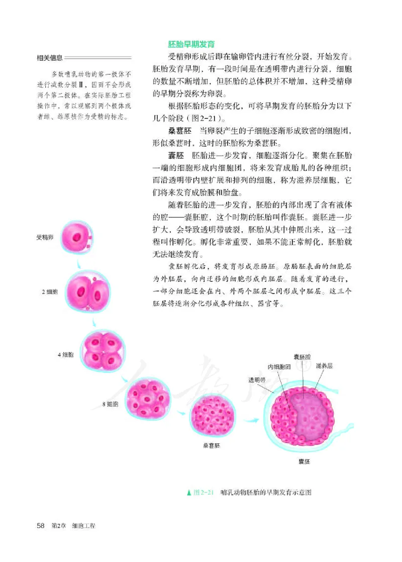 人教版生物选修3_电子课本_最新版高中全科高清电子课本_6高中生物课本_2019新人教版