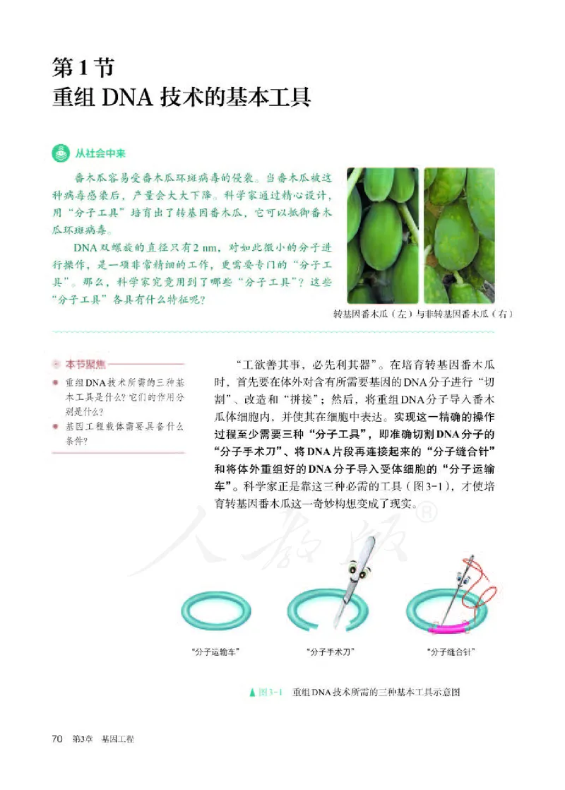 人教版生物选修3_电子课本_最新版高中全科高清电子课本_6高中生物课本_2019新人教版
