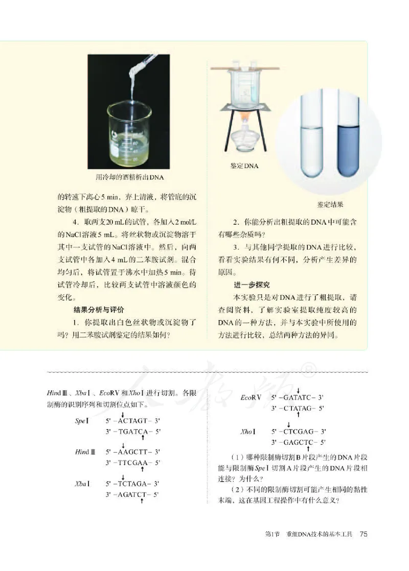 人教版生物选修3_电子课本_最新版高中全科高清电子课本_6高中生物课本_2019新人教版