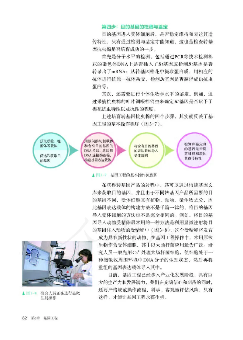 人教版生物选修3_电子课本_最新版高中全科高清电子课本_6高中生物课本_2019新人教版