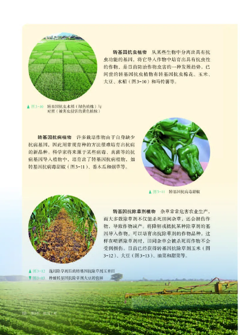 人教版生物选修3_电子课本_最新版高中全科高清电子课本_6高中生物课本_2019新人教版