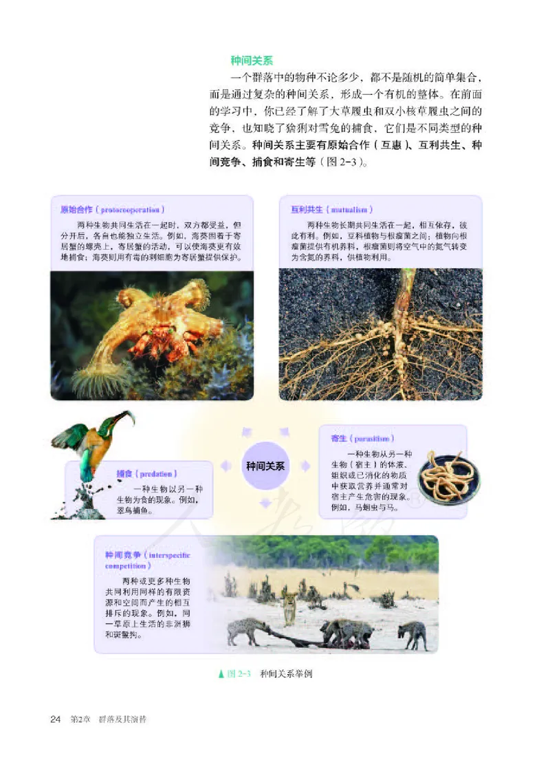 人教版生物选修2_电子课本_最新版高中全科高清电子课本_6高中生物课本_2019新人教版