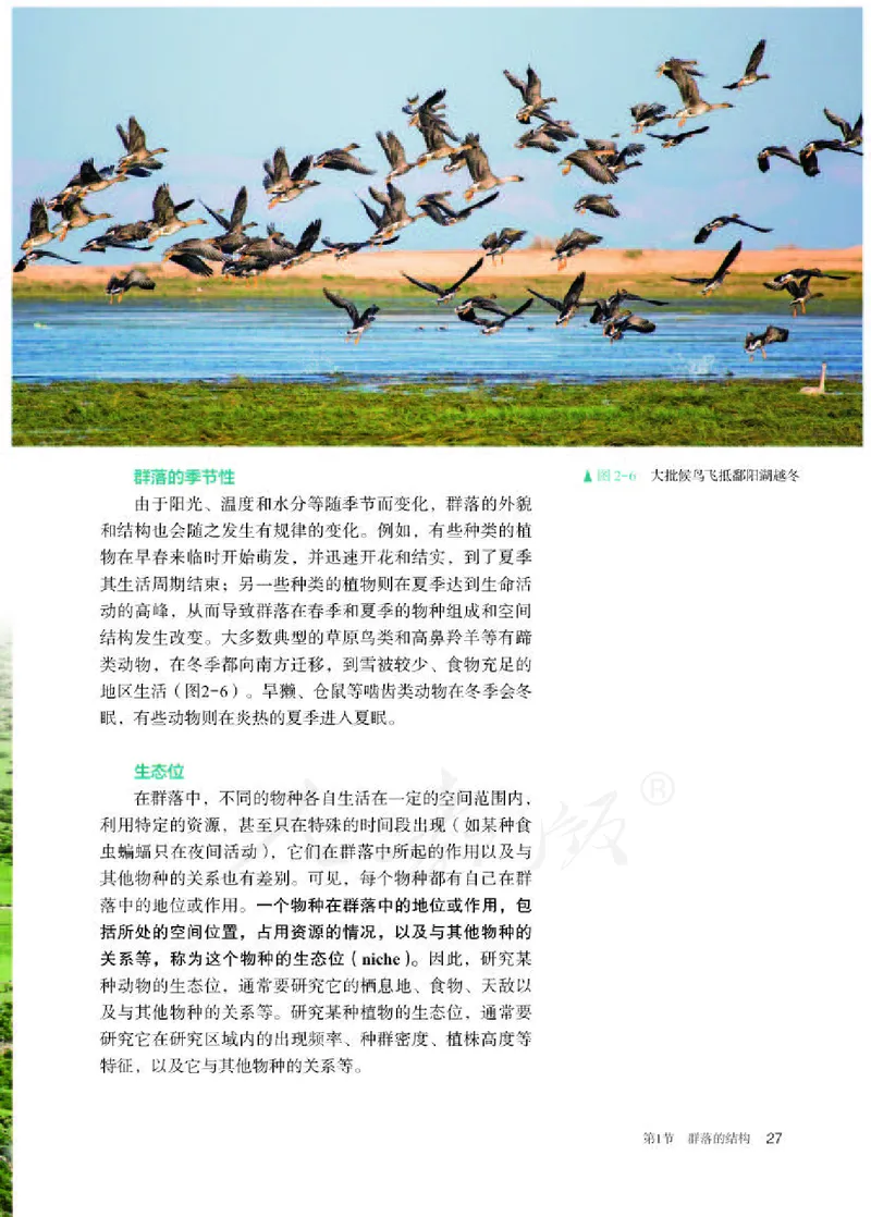 人教版生物选修2_电子课本_最新版高中全科高清电子课本_6高中生物课本_2019新人教版