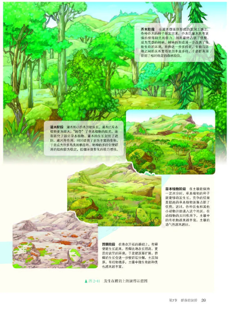 人教版生物选修2_电子课本_最新版高中全科高清电子课本_6高中生物课本_2019新人教版