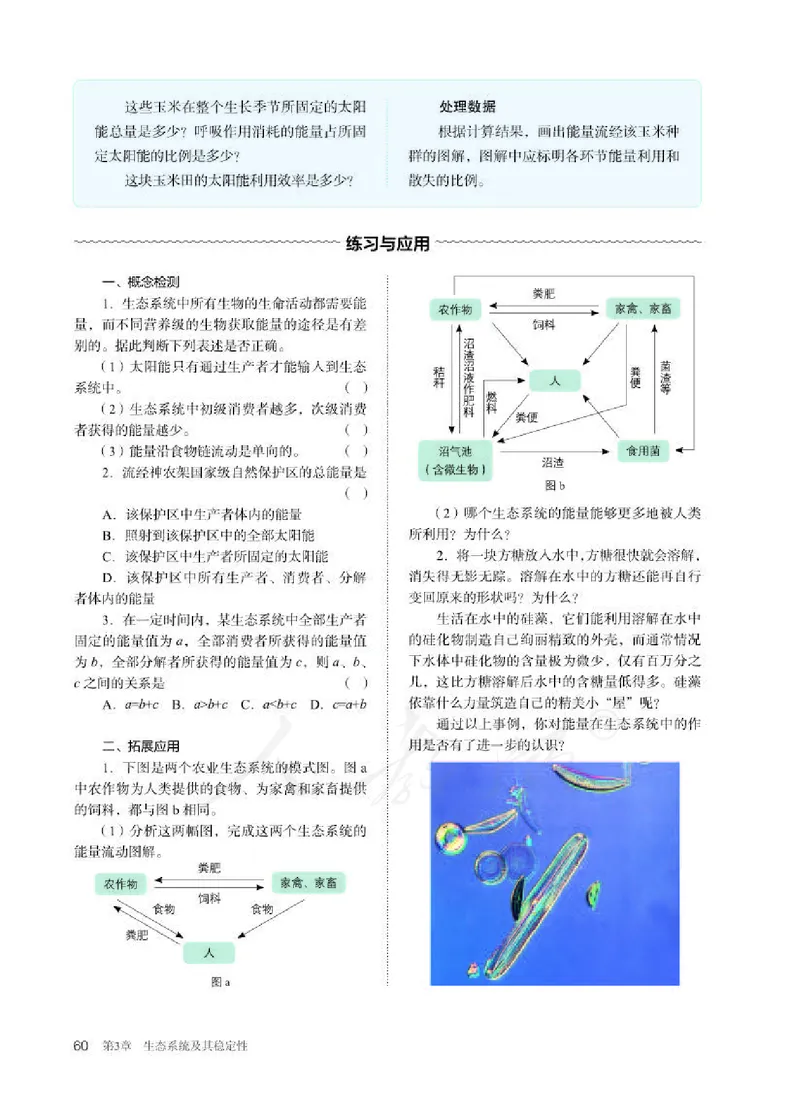 人教版生物选修2_电子课本_最新版高中全科高清电子课本_6高中生物课本_2019新人教版