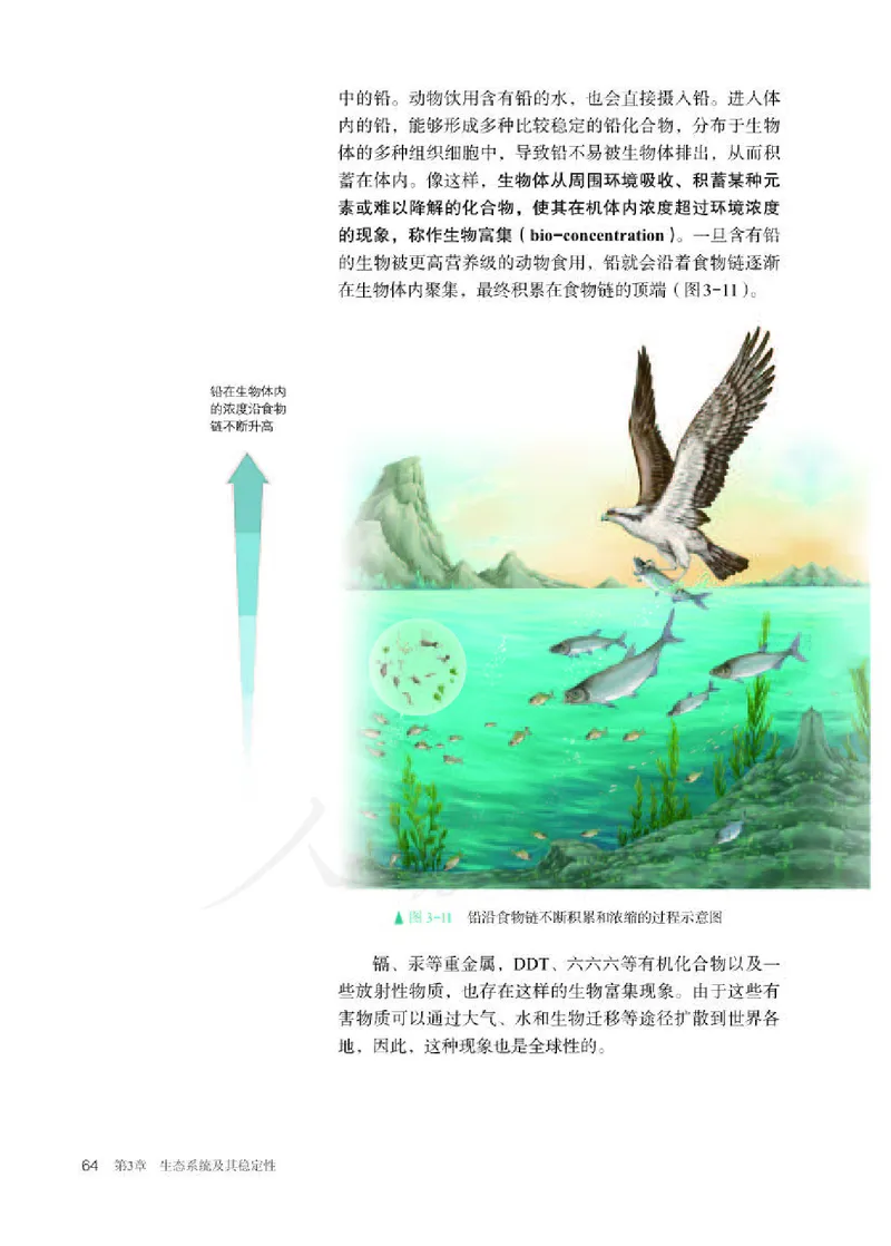人教版生物选修2_电子课本_最新版高中全科高清电子课本_6高中生物课本_2019新人教版