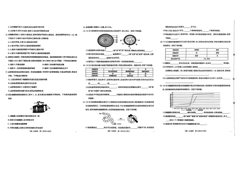 河北省邢台市卓越联盟2025-2026学年高一上学期第一次月考（10月）生物试卷（图片版，含解析）_2025年10月高一试卷_251027河北省邢台市卓越联盟2025-2026学年高一上学期10月月考