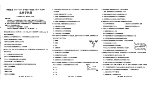 河北省邢台市卓越联盟2025-2026学年高一上学期第一次月考（10月）生物试卷（图片版，含解析）_2025年10月高一试卷_251027河北省邢台市卓越联盟2025-2026学年高一上学期10月月考