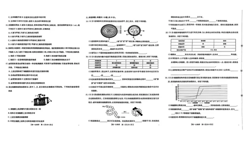 河北省邢台市卓越联盟2025-2026学年高一上学期第一次月考（10月）生物试卷（图片版，含解析）_2025年10月高一试卷_251027河北省邢台市卓越联盟2025-2026学年高一上学期10月月考