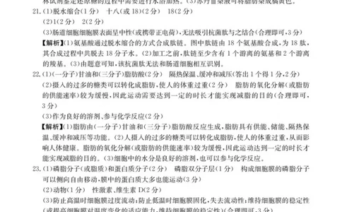 河北省邢台市卓越联盟2025-2026学年高一上学期第一次月考（10月）生物试卷（图片版，含解析）_2025年10月高一试卷_251027河北省邢台市卓越联盟2025-2026学年高一上学期10月月考