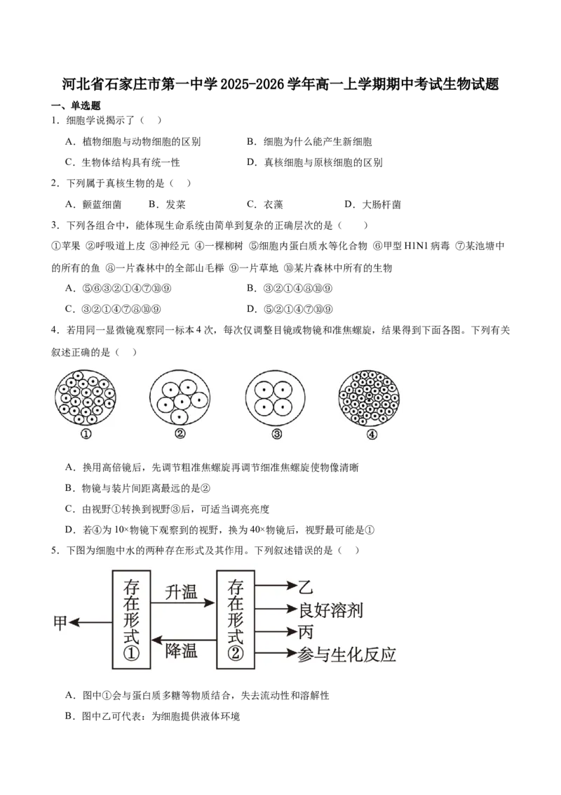 河北省石家庄市第一中学2025-2026学年高一上学期期中考试生物Word版含答案_2025年11月高一试卷_251117河北省石家庄市第一中学2025-2026学年高一上学期期中考试