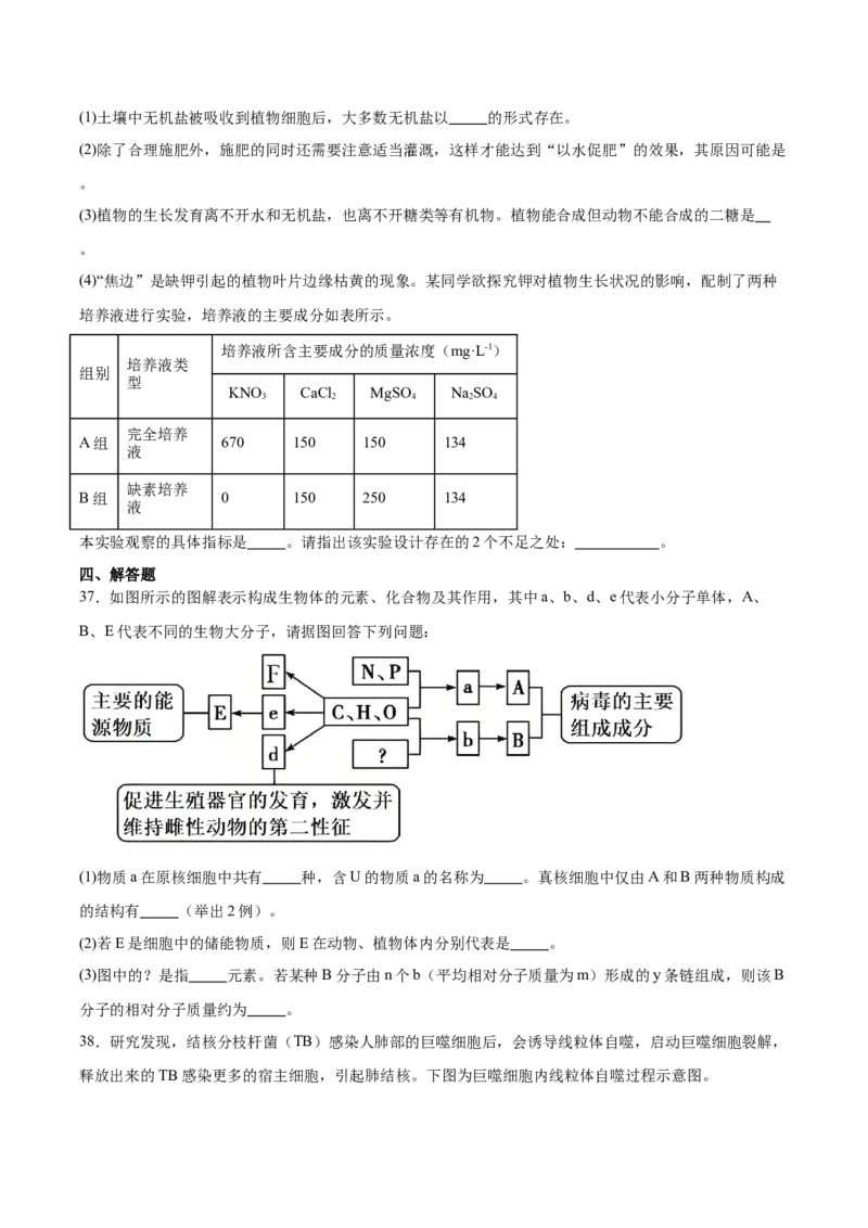 河北省石家庄市第一中学2025-2026学年高一上学期期中考试生物Word版含答案_2025年11月高一试卷_251117河北省石家庄市第一中学2025-2026学年高一上学期期中考试