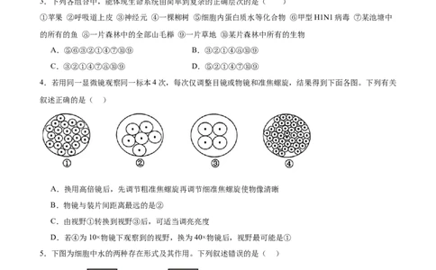 河北省石家庄市第一中学2025-2026学年高一上学期期中考试生物Word版含答案_2025年11月高一试卷_251117河北省石家庄市第一中学2025-2026学年高一上学期期中考试