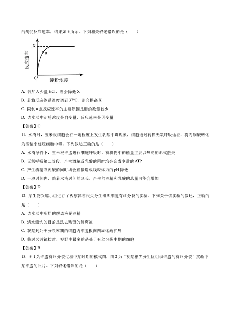 河北省邢台市卓越联盟2025-2026学年高一下学期开学测评生物试卷_2026年03月高一试卷_260317河北省邢台市卓越联盟2025-2026学年高一下学期开学测评试卷（全科）