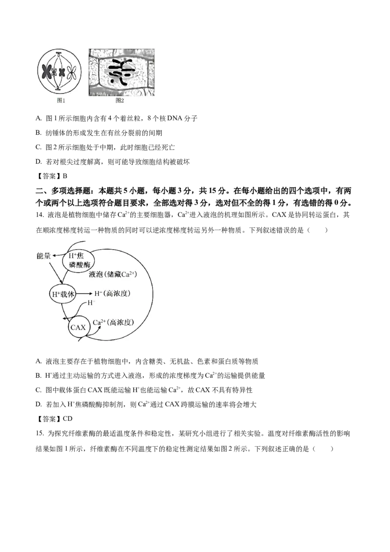 河北省邢台市卓越联盟2025-2026学年高一下学期开学测评生物试卷_2026年03月高一试卷_260317河北省邢台市卓越联盟2025-2026学年高一下学期开学测评试卷（全科）