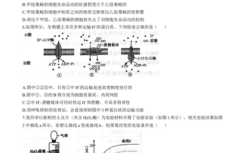 河北省石家庄市七县联合体联考2025-2026学年高一上学期1月月考生物试题含答案_2026年01月高一试卷_260127河北省石家庄市七县联合体2025-2026学年高一上学期1月月考（全）