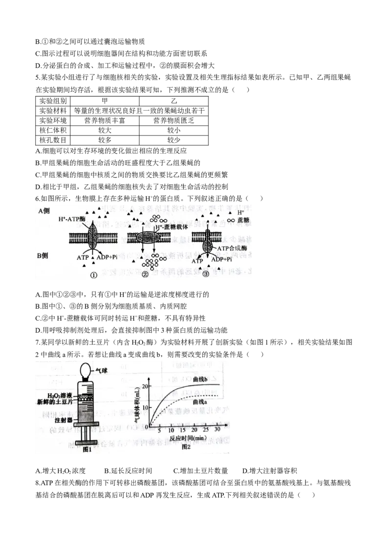 河北省石家庄市七县联合体联考2025-2026学年高一上学期1月月考生物试题含答案_2026年01月高一试卷_260127河北省石家庄市七县联合体2025-2026学年高一上学期1月月考（全）