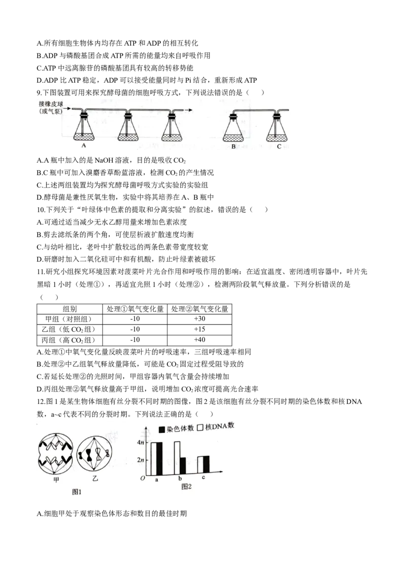 河北省石家庄市七县联合体联考2025-2026学年高一上学期1月月考生物试题含答案_2026年01月高一试卷_260127河北省石家庄市七县联合体2025-2026学年高一上学期1月月考（全）