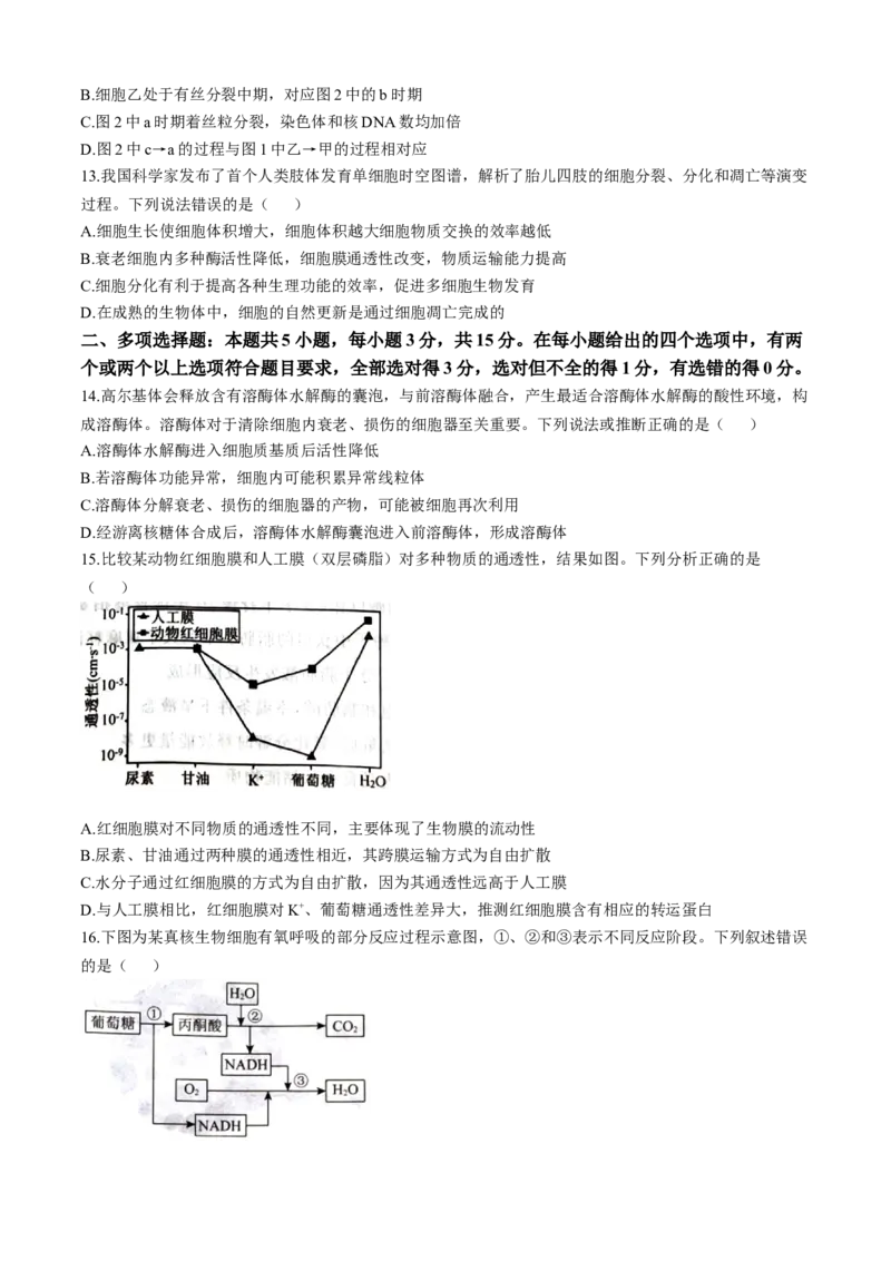 河北省石家庄市七县联合体联考2025-2026学年高一上学期1月月考生物试题含答案_2026年01月高一试卷_260127河北省石家庄市七县联合体2025-2026学年高一上学期1月月考（全）