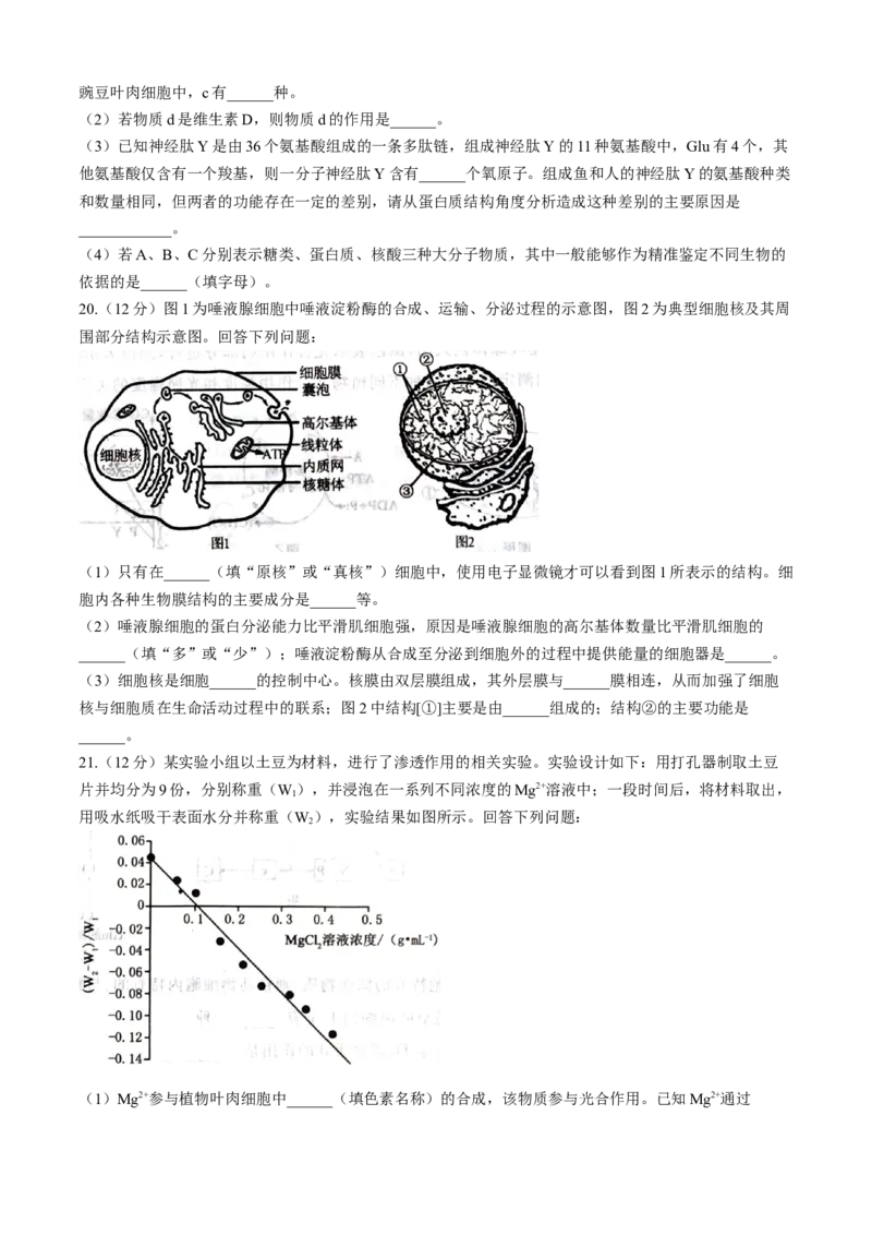 河北省石家庄市七县联合体联考2025-2026学年高一上学期1月月考生物试题含答案_2026年01月高一试卷_260127河北省石家庄市七县联合体2025-2026学年高一上学期1月月考（全）