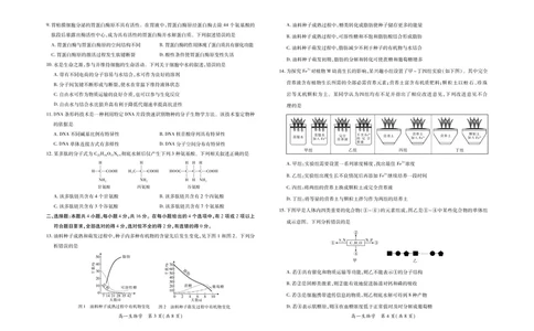 江西省上进联考2025-2026学年高一上学期11月期中考试&middot;生物_2025年11月高一试卷_251114江西省上进联考2025-2026学年高一上学期11月期中考试（全）
