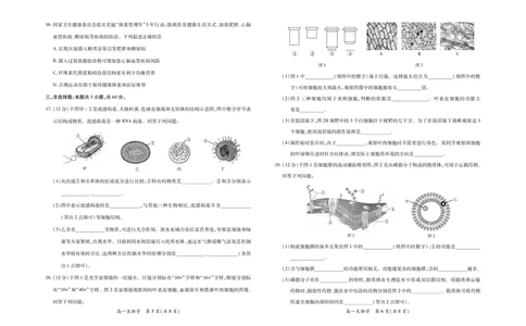 江西省上进联考2025-2026学年高一上学期11月期中考试&middot;生物_2025年11月高一试卷_251114江西省上进联考2025-2026学年高一上学期11月期中考试（全）