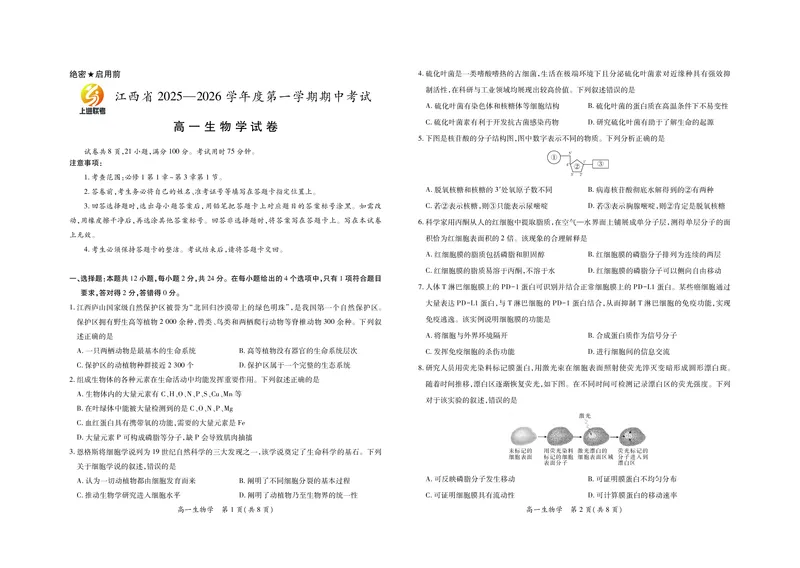 江西省上进联考2025-2026学年高一上学期11月期中考试&middot;生物_2025年11月高一试卷_251114江西省上进联考2025-2026学年高一上学期11月期中考试（全）